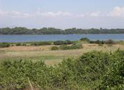Lago di Fogliano
