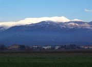 Monte terminillo