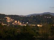 Belforte