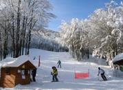Campigna, Piste da sci