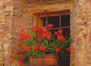 Mattoni e gerani rossi nel borgo medievale di Certaldo Alto in una colorata primavera toscana