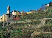 Il Santuario della Sassella - Sondrio