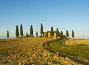 siena
