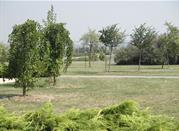 Parco san Giuliano