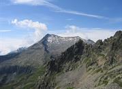 King of Monte Castello