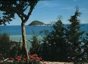 Sea and Gallinara Isle view