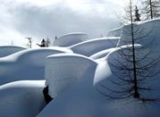 Formes