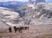 unterwegs zur Spitze