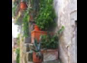 calcata