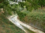 Rio Salso