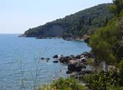 Costa Cilentana