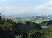 Colline Reggiane