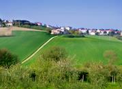 Vista di Misano Monte