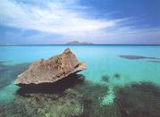 L'isola di Favignana