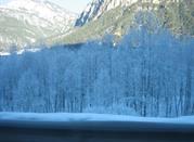 Paesaggio innevato visibile dalla strada