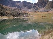 Laghi