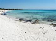 La spiaggia di Punta Prosciutto