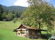 Kleine Hütte