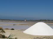 saline