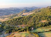 Le colline dell'entroterra riminense