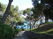 La pineta del Capo