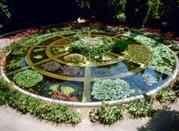 Nature at the garden