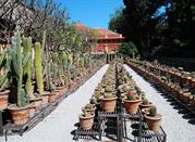 Botanical Garden
