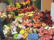 Bologna, Mercato di Mezzo