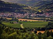 Vigneti