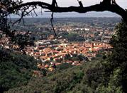 Veduta della città