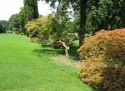 Parco Sigurta