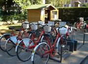 Alquiler de bicicletas
