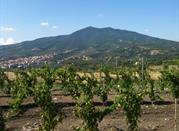 Uliveto