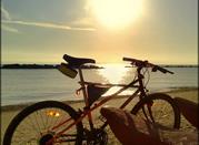 bikes on the beach