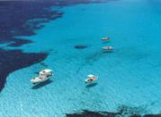 Sea of ??Lampedusa