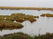 Parco del Delta