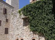 Corciano