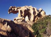 Palau - Roccia Dell'Orso