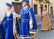Pisa, Palio di San Ranieri