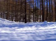 Val Troncea