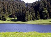 biotopo_malga_laghetto