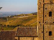 Vigneti a Castagnole Monferrato