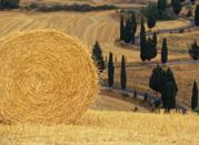 Campagna