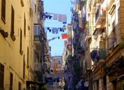 Forcella