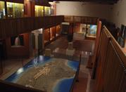 Antiquarium Arborense