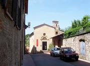 Museo Ornitologico