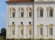 Flowers, Venaria Reale