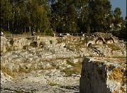 Siracusa, Anfiteatro Romano