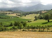 Le colline e i colori della campagna