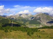 Vista, Trepalle